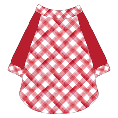 Apple-solutely Adorable - Apple Gingham - The Raglan Jersey