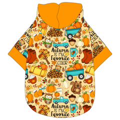 Autumn Is My Favorite Color - Autumn Is My Favorite Color - The Hoodie