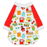 Bright Beginnings - The Raglan Jersey