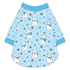 Chilly Bears - The Raglan Jersey