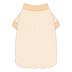 Autumn Vibes Only - Creamy Gingham - Flutter Waist Tee