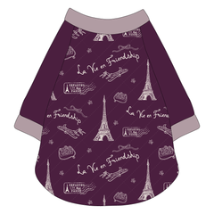 La Vie en Friendship - The Raglan Jersey