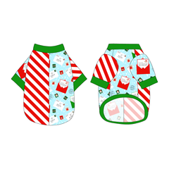 Letters To Santa Paws - The 2N1 Tee