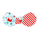 Letters To Santa Paws - The Knot Bow