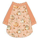 Pumpkin Picnic - The Raglan Jersey