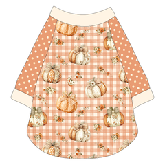 Pumpkin Picnic - The Raglan Jersey