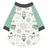 Snow Much Fun - The Raglan Jersey