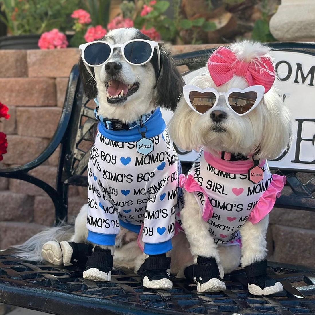 Two pups sitting on a park bench. One is wearing a white tee trimmed in blue that says Mama's Boy.  One is wearing a white tee trim in pink ruffles that says Mama's Girl.  Both pups are wearing sunglasses and sneakers.