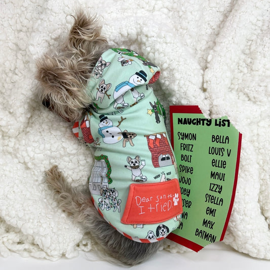 Helping Your Pup Navigate the Holidays: A Guide to a Tail-Wagging Festivity