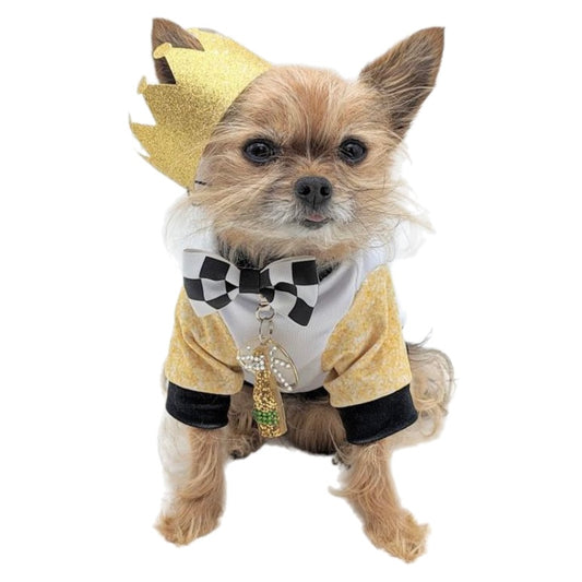 Tiny dog wearing a crown and fun New Year's dog apparel