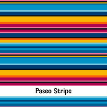 Paseo Stripe