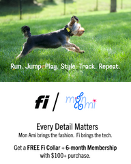 FREE Fi Collar + 6-month Membership with $100+ purchase