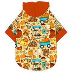 Autumn Is My Favorite Color - Autumn Is My Favorite Color - The Hoodie