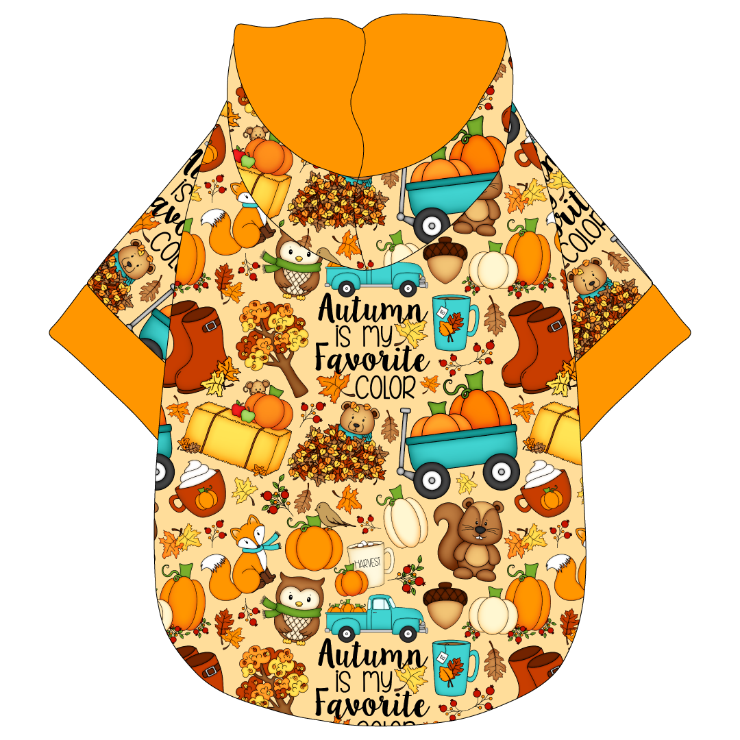 Autumn Is My Favorite Color - Autumn Is My Favorite Color - The Hoodie