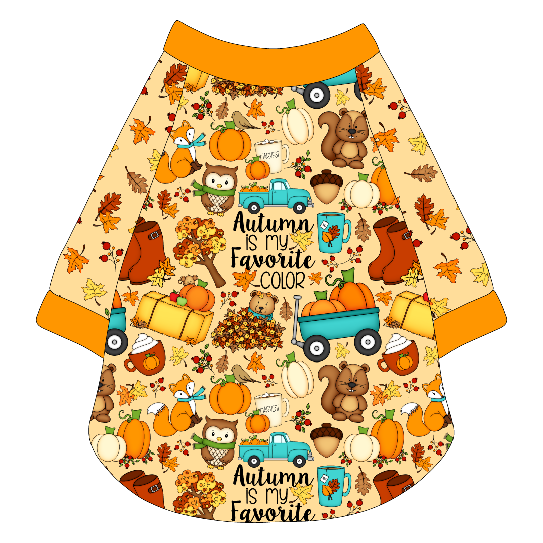 Autumn Is My Favorite Color - Autumn Is My Favorite Color - The Raglan Jersey