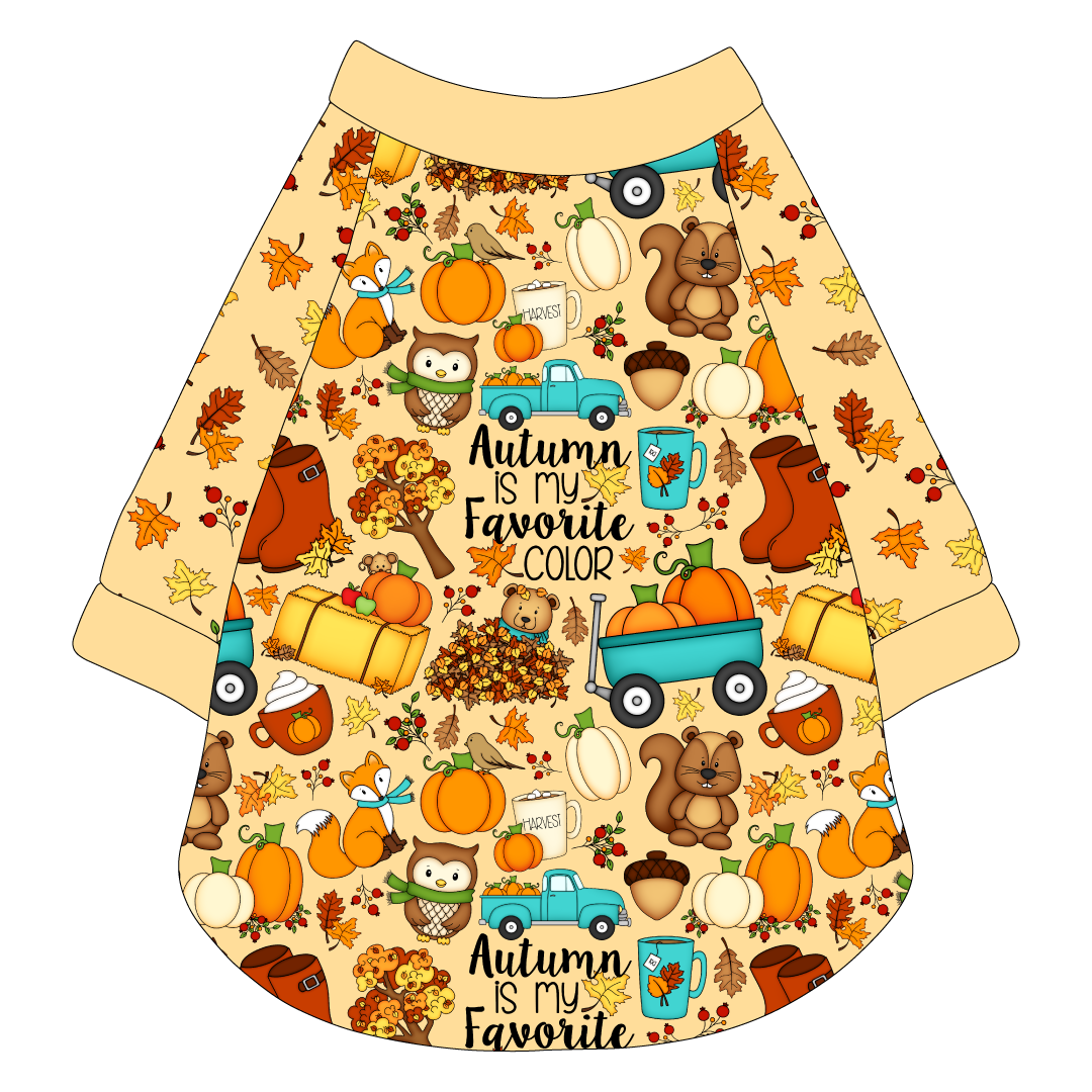 Autumn Is My Favorite Color - Autumn Is My Favorite Color - The Raglan Jersey