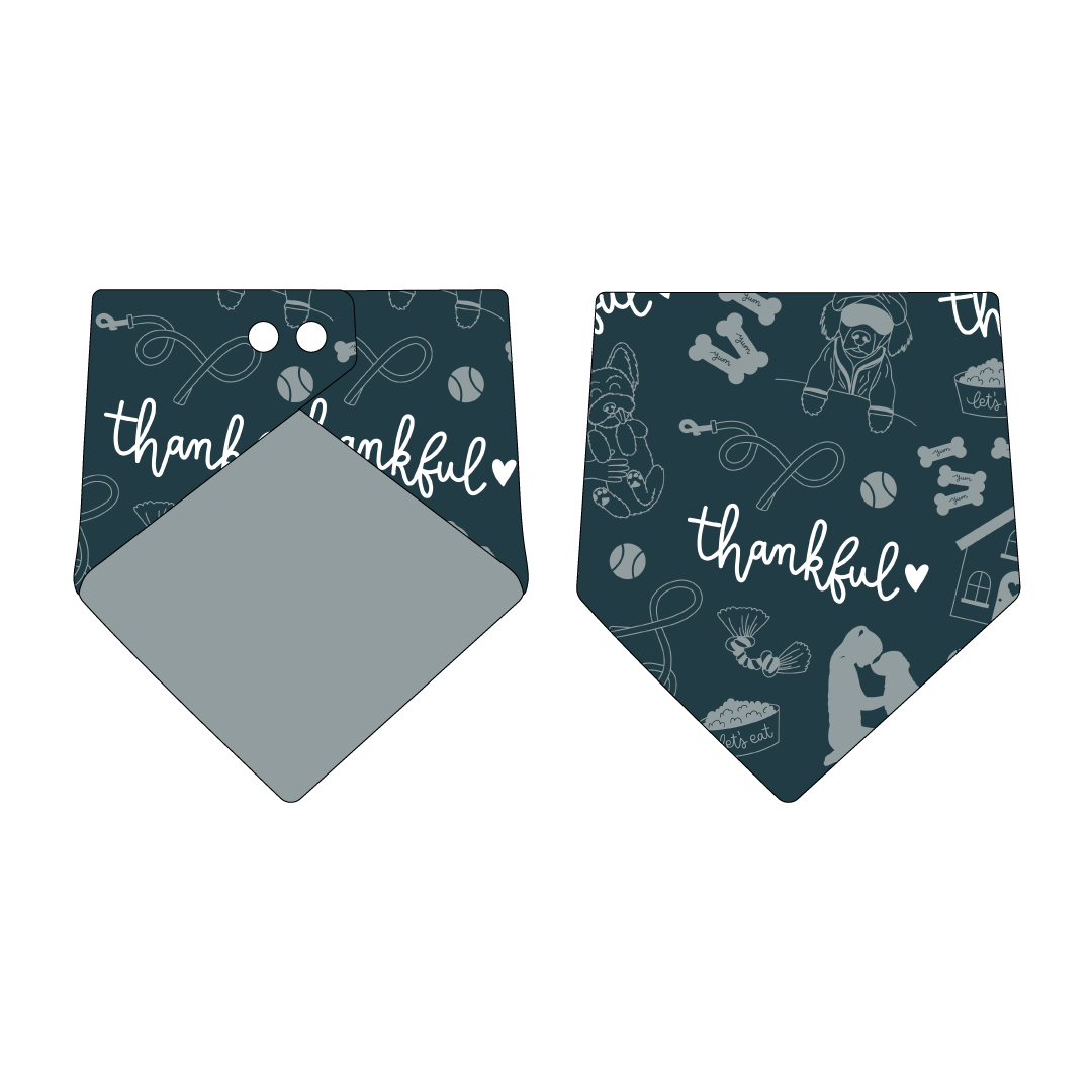 Thankful - Thankful - The Bandana