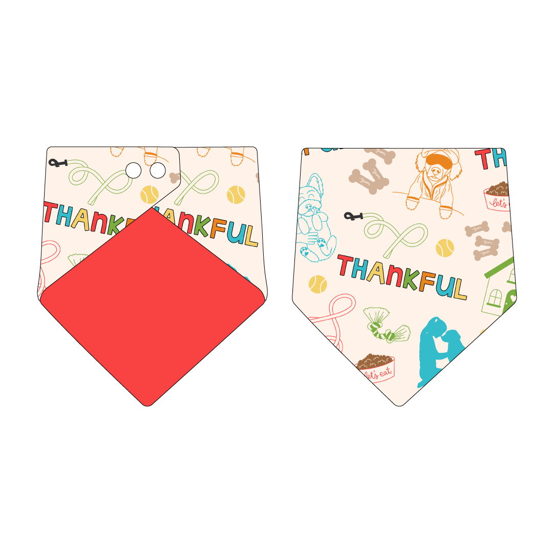 Thankful - Thankful (Colorful) - The Bandana