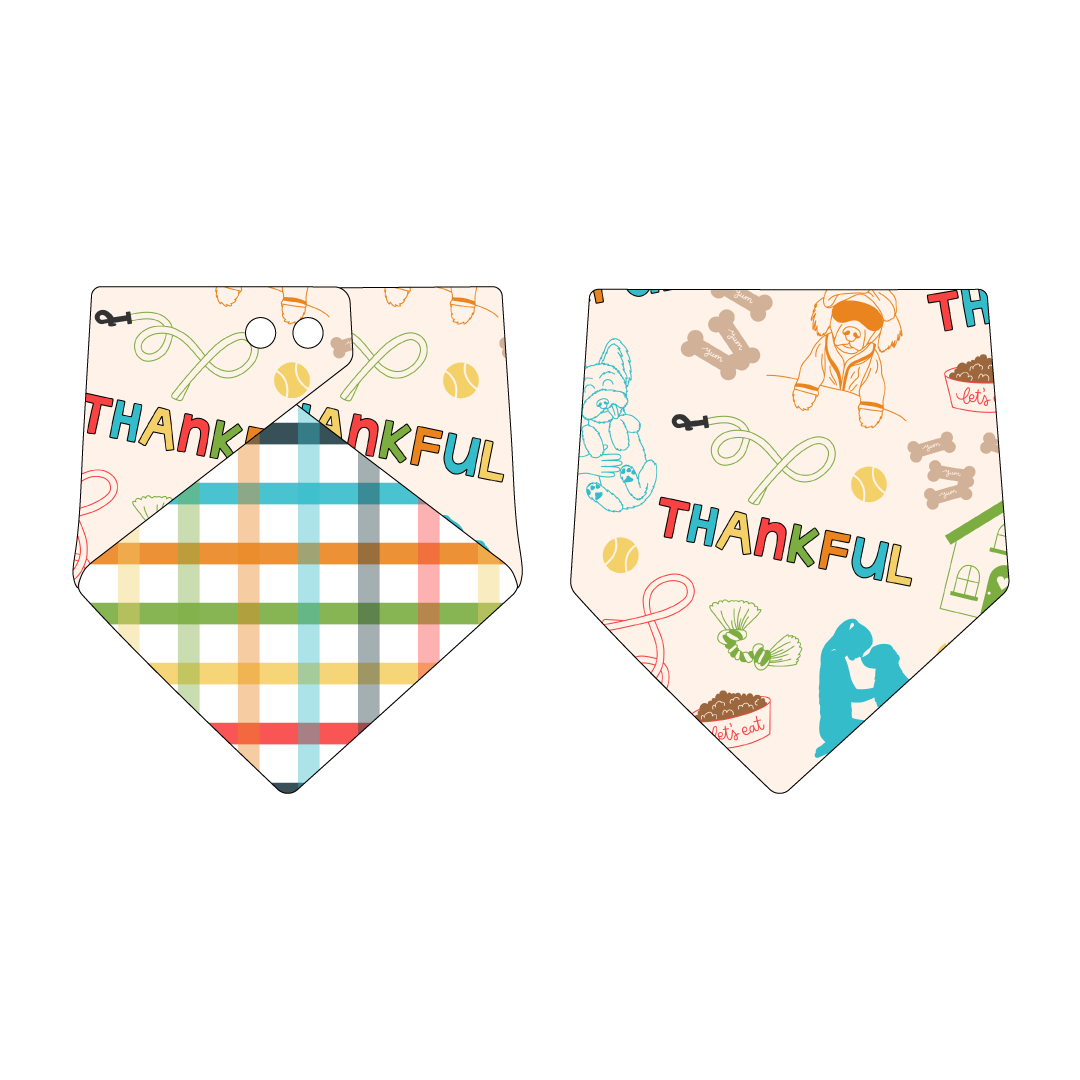 Thankful - Thankful (Colorful) - The Bandana