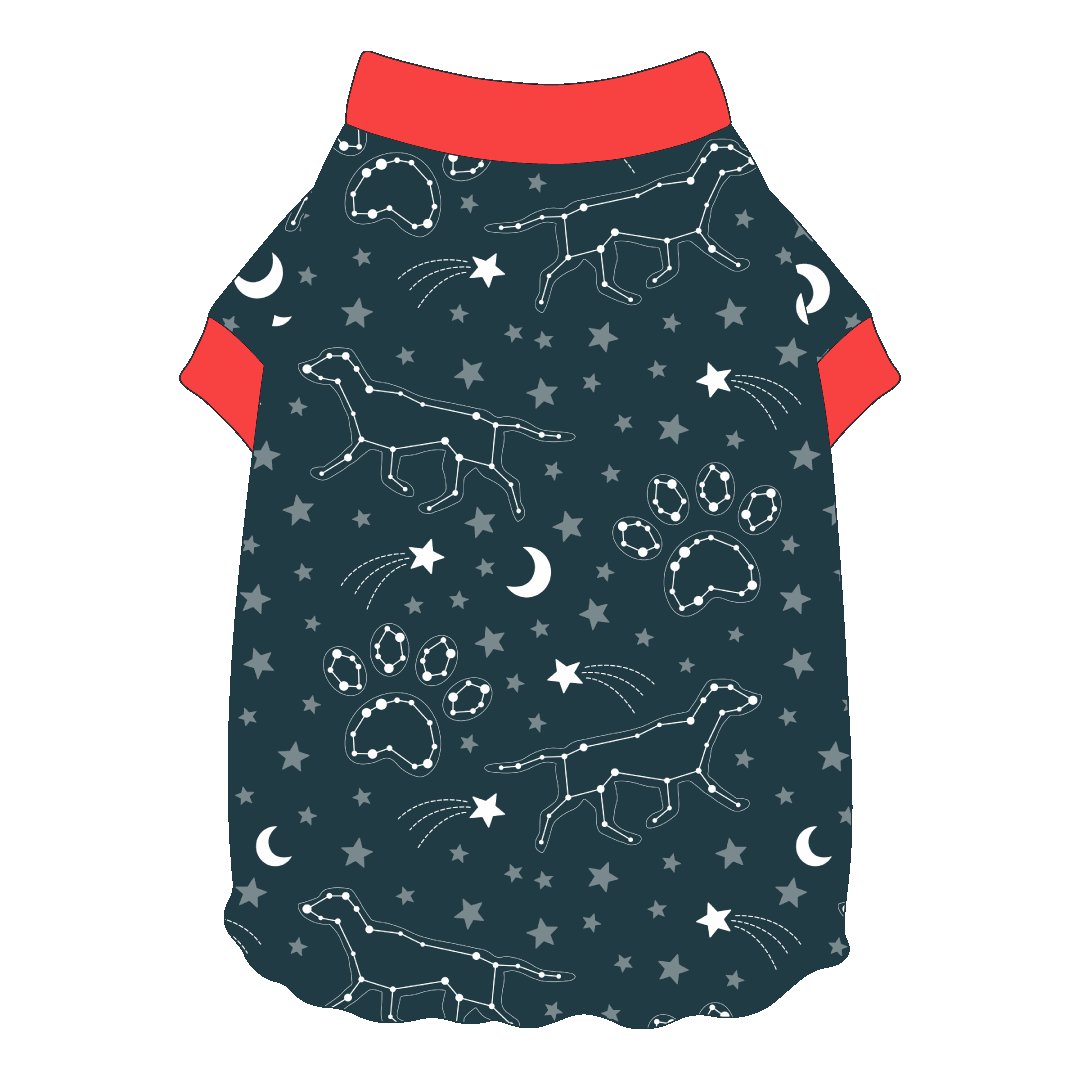 Let's Go Camping - Dog Constellations - Flutter Waist Tee