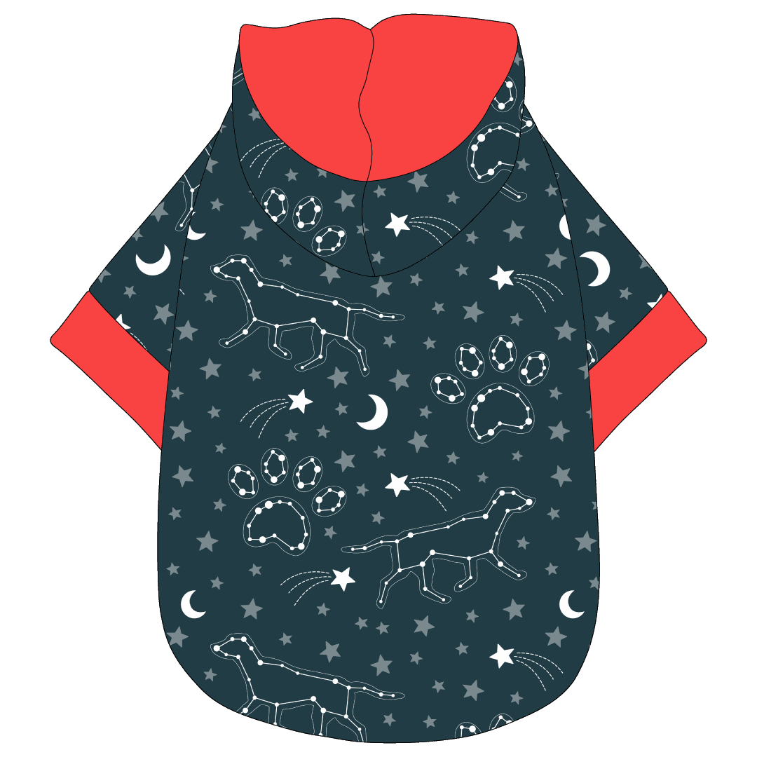 Let's Go Camping - Dog Constellations - The Hoodie