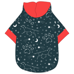 Let's Go Camping - Dog Constellations - The Hoodie