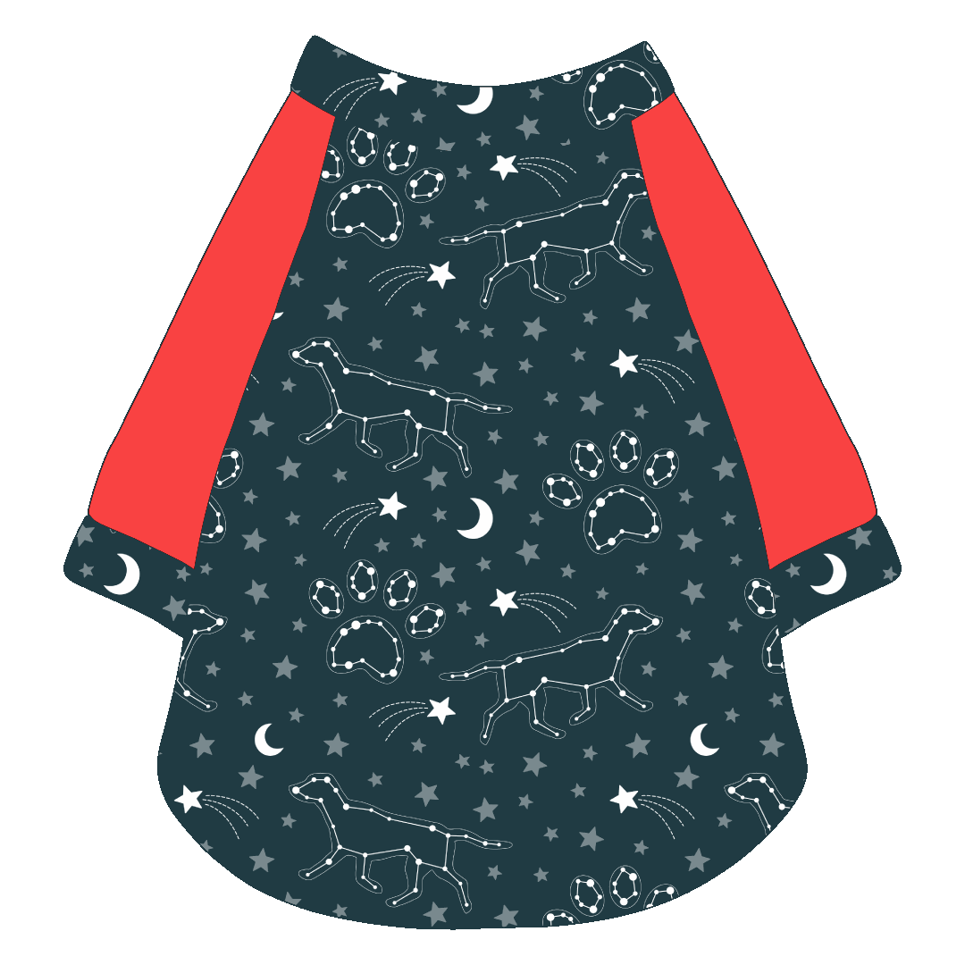 Let's Go Camping - Dog Constellations - The Raglan Jersey