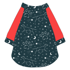 Let's Go Camping - Dog Constellations - The Raglan Jersey