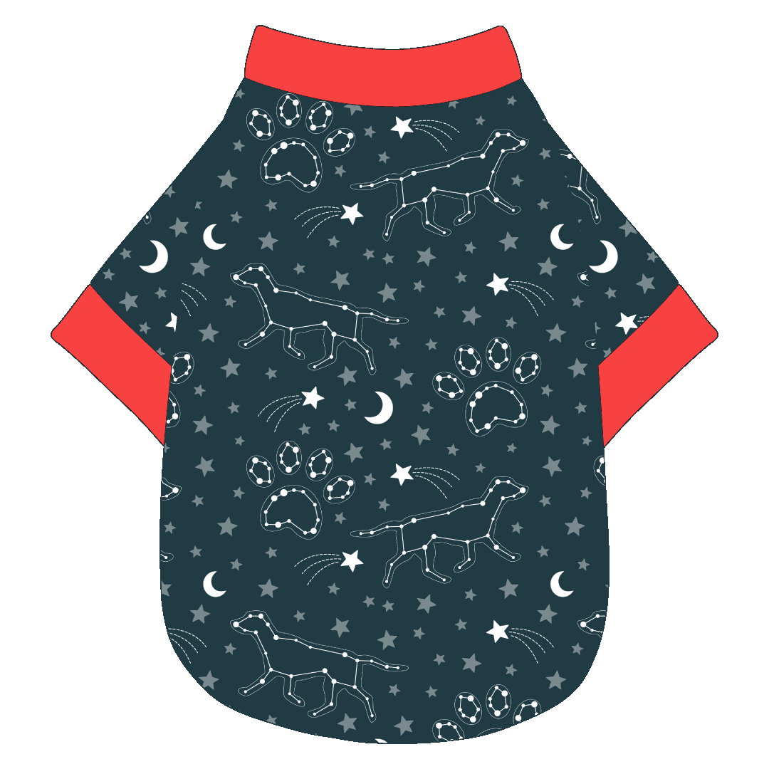 Let's Go Camping - Dog Constellations - The Basic Tee