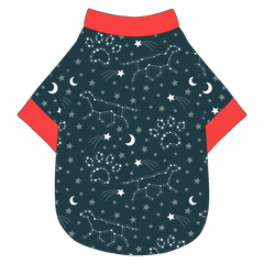 Let's Go Camping - Dog Constellations - The Basic Tee