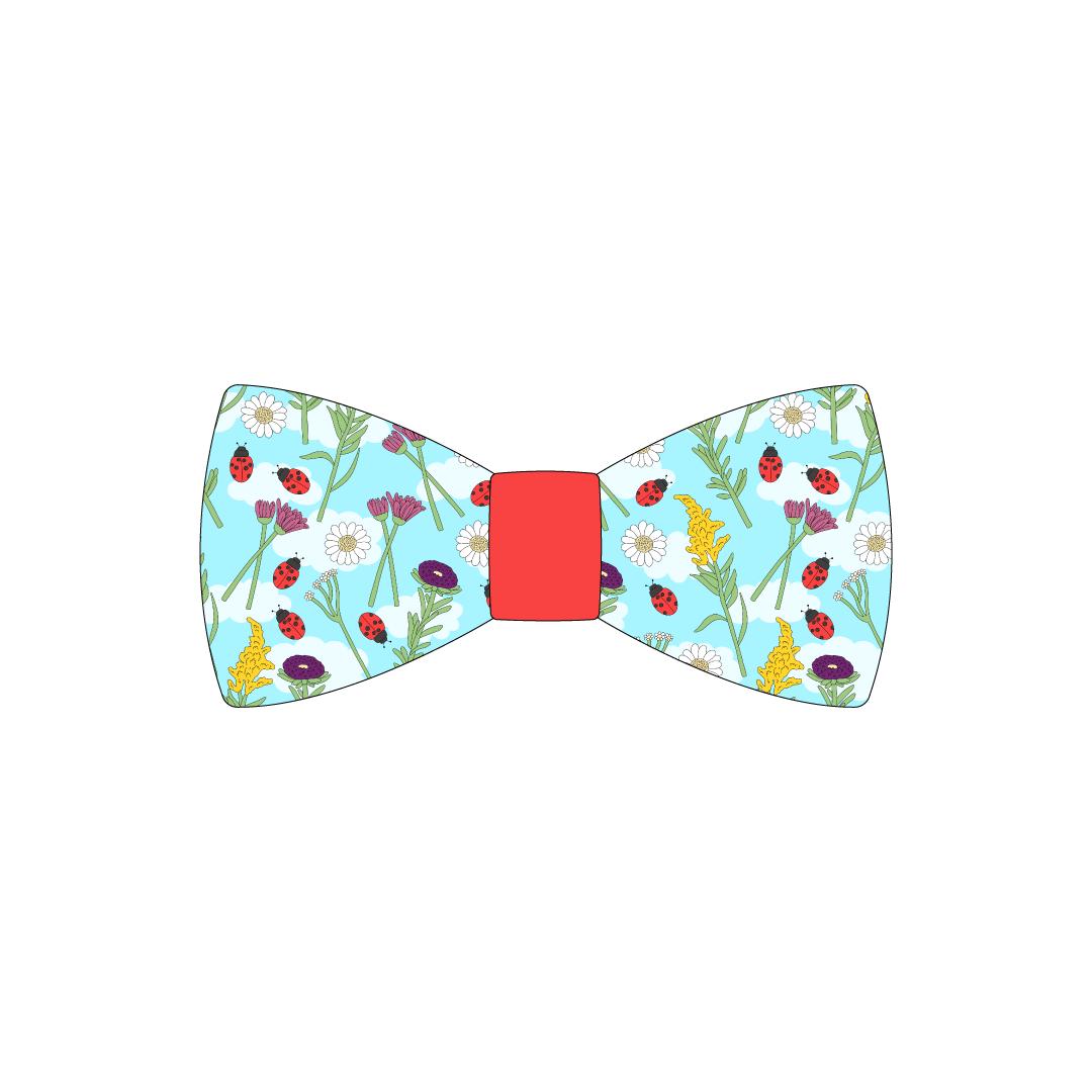 I'm Wildflower About You - I'm Wildflower About You - The Bowtie