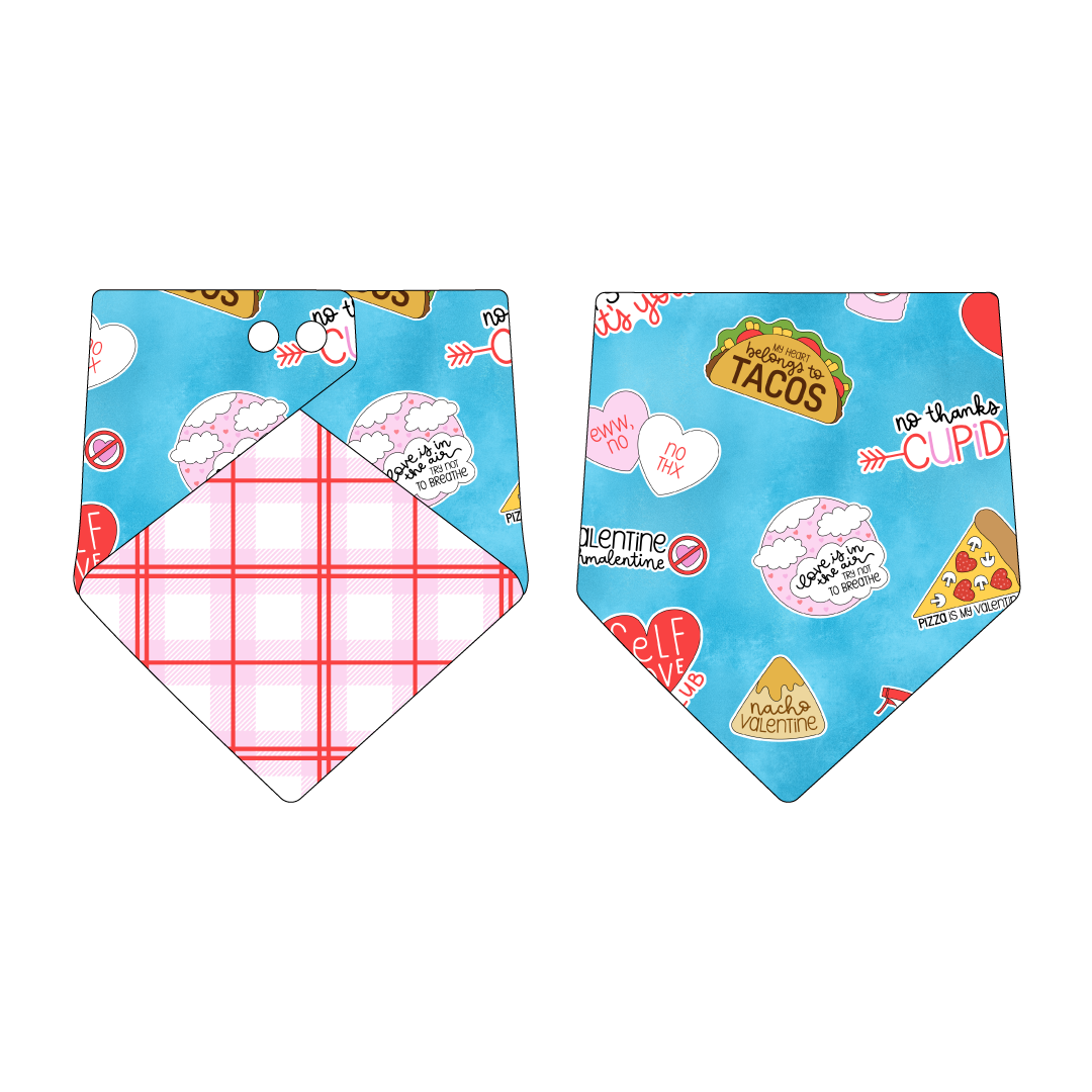 Bandana in a dog friendly pattern that shows witty anti-Valentine phrases and fun images. Design is reversible with red and pink plaid on the opposite side.