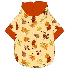 Autumn Is My Favorite Color - Falling Leaves - The Hoodie