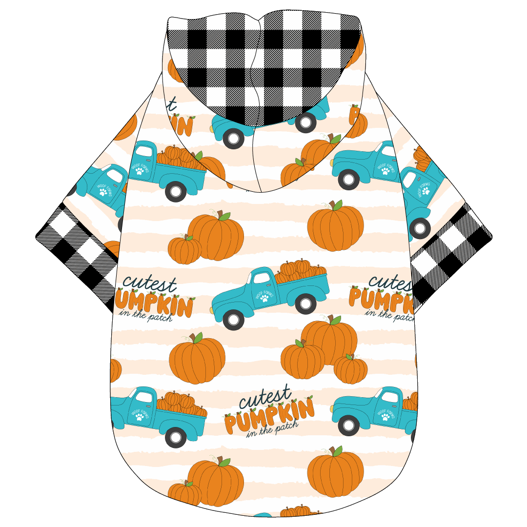 It's Fall Y'all - Cutest Pumpkin In The Patch - The Hoodie