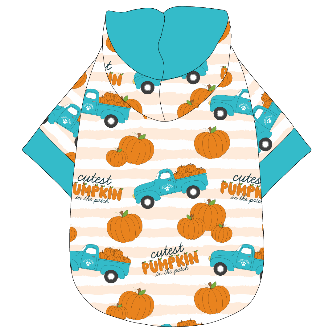 It's Fall Y'all - Cutest Pumpkin In The Patch - The Hoodie