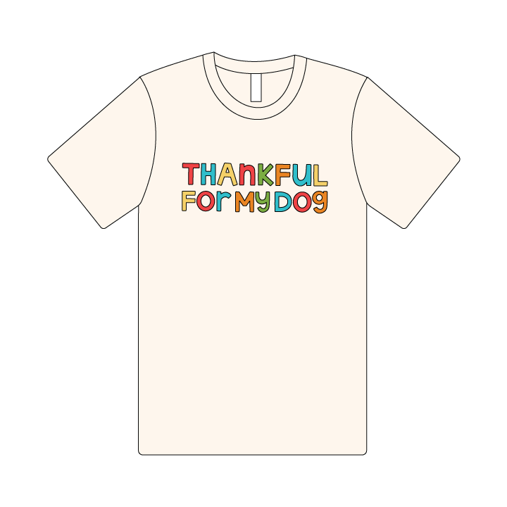 Thankful - Thankful (Colorful) - The Human Tee