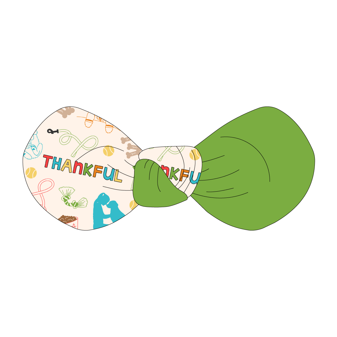 Thankful - Thankful (Colorful) - The Knot Bow