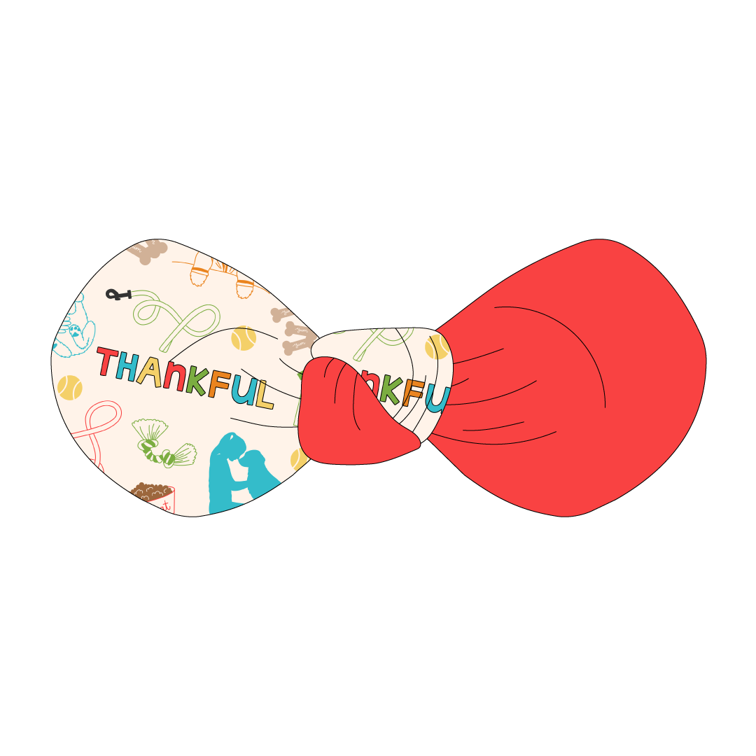 Thankful - Thankful (Colorful) - The Knot Bow