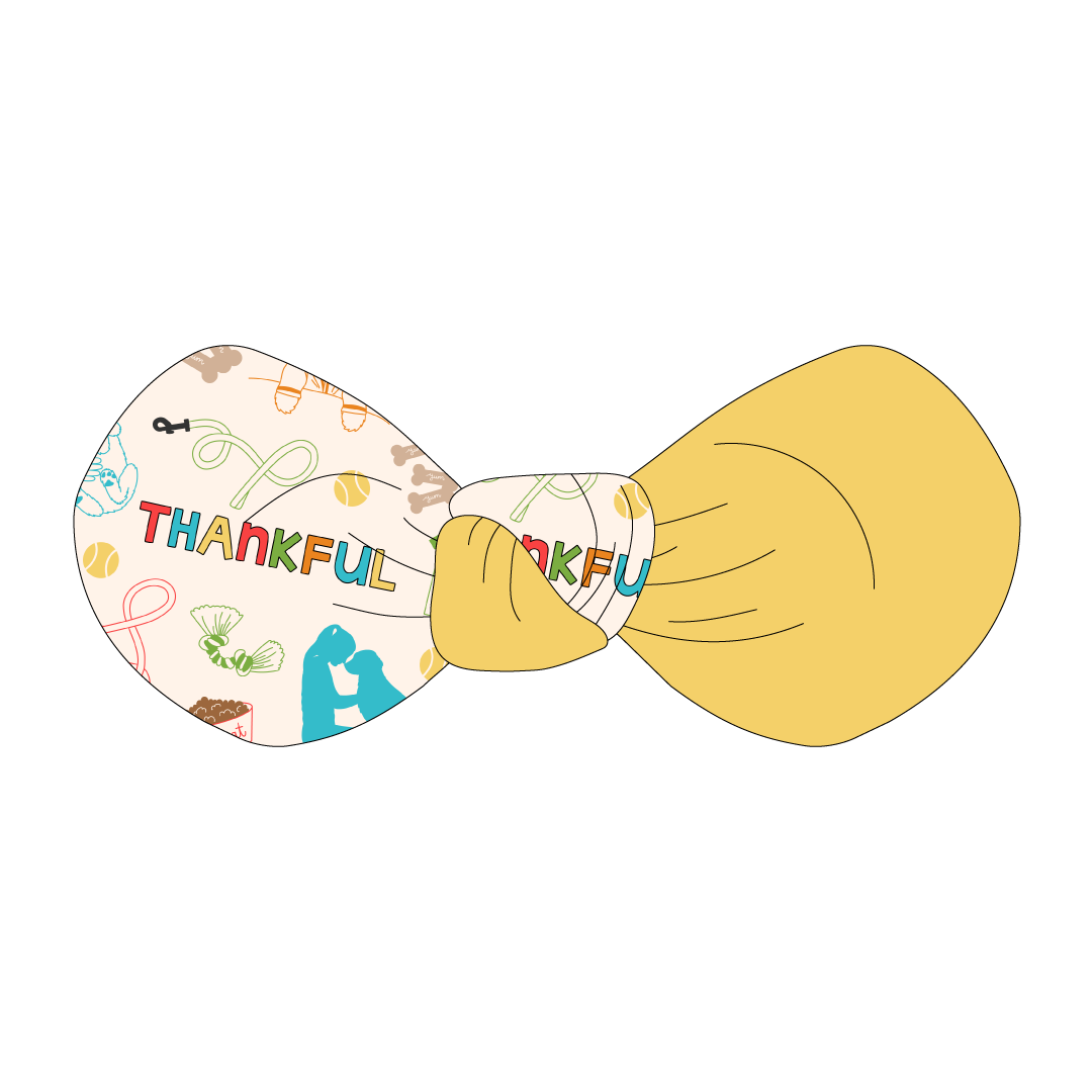 Thankful - Thankful (Colorful) - The Knot Bow