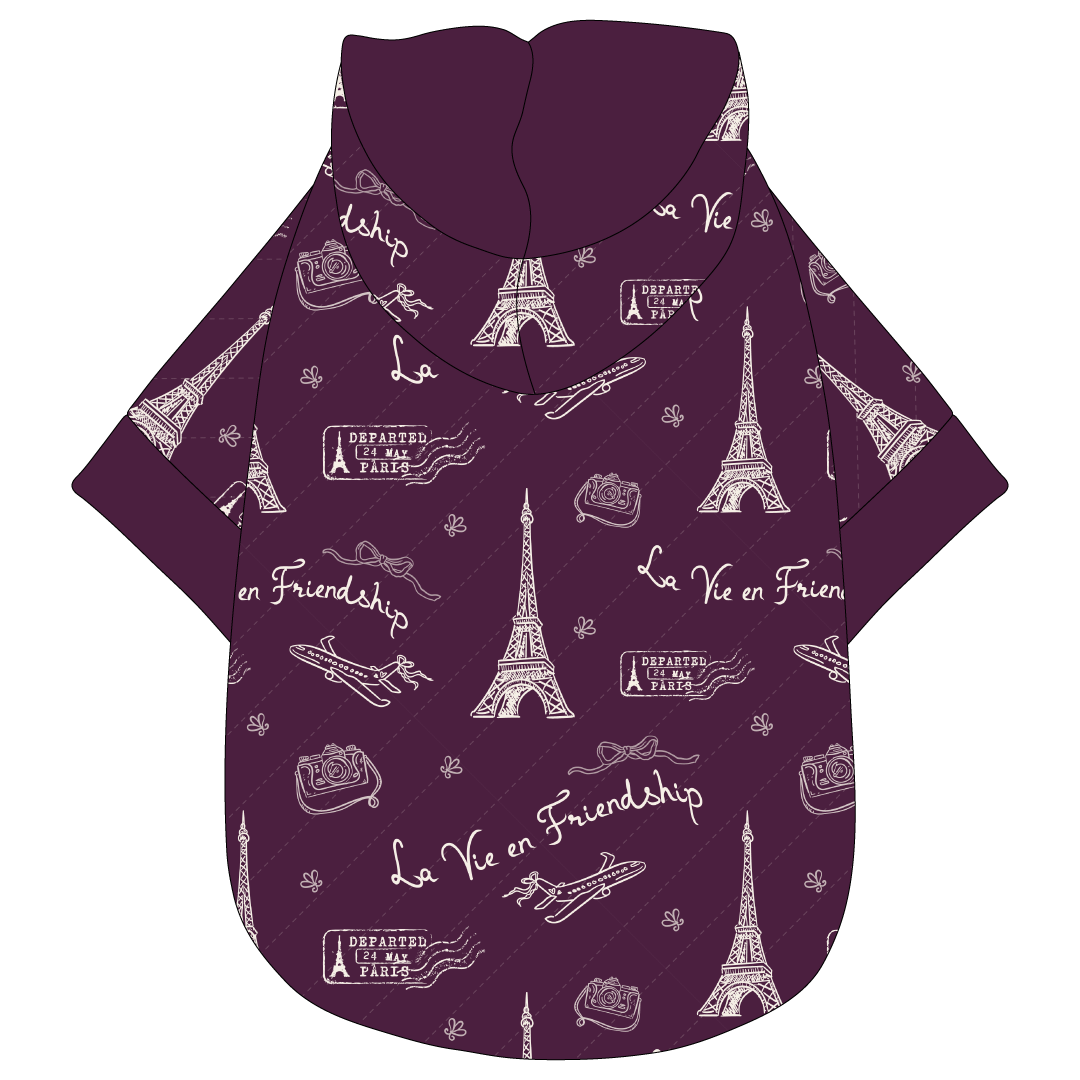 La Vie en Friendship - The Hoodie