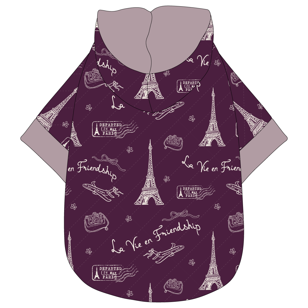 La Vie en Friendship - The Hoodie