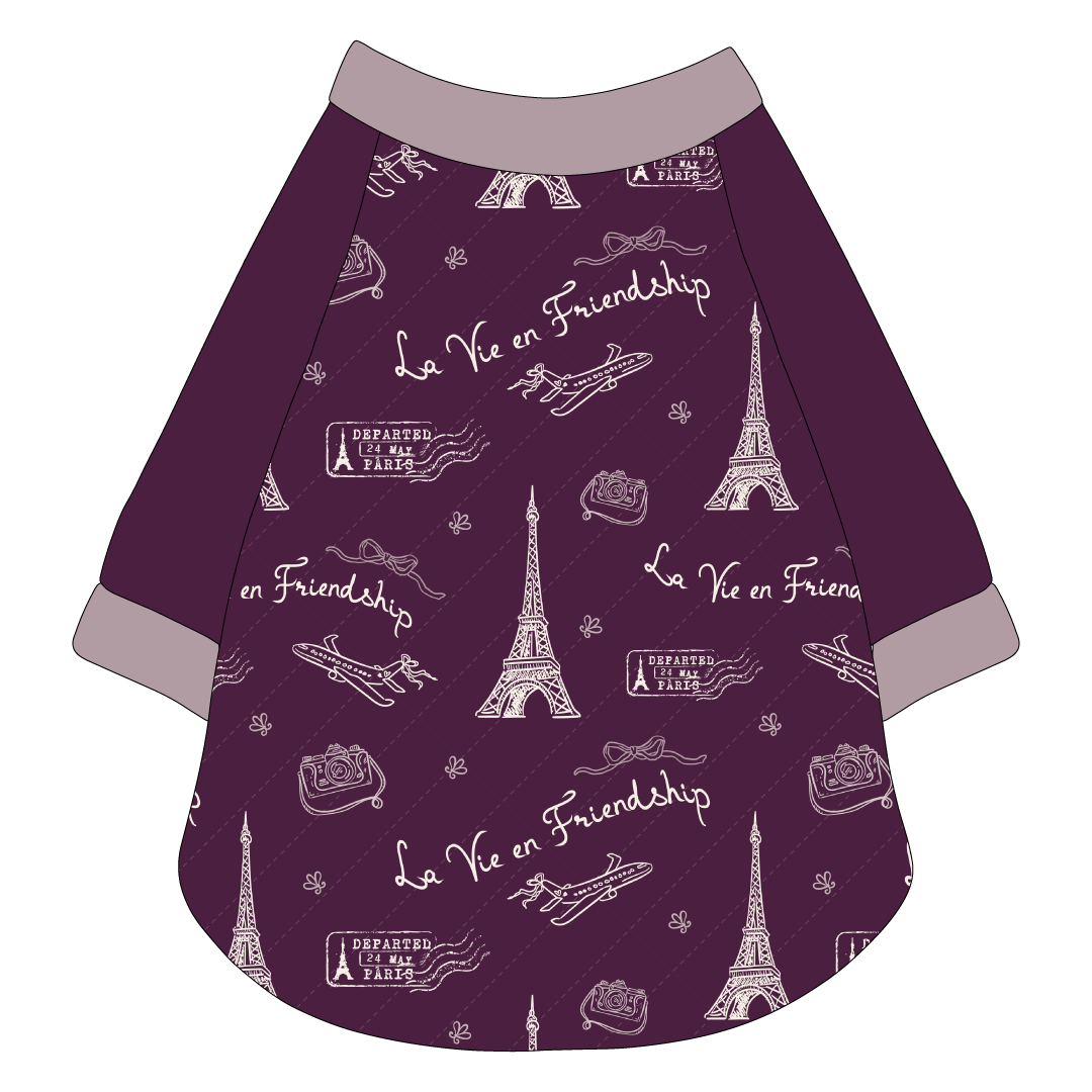 La Vie en Friendship - The Raglan Jersey