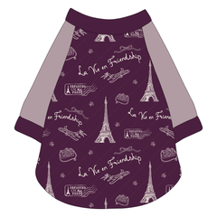 La Vie en Friendship - The Raglan Jersey