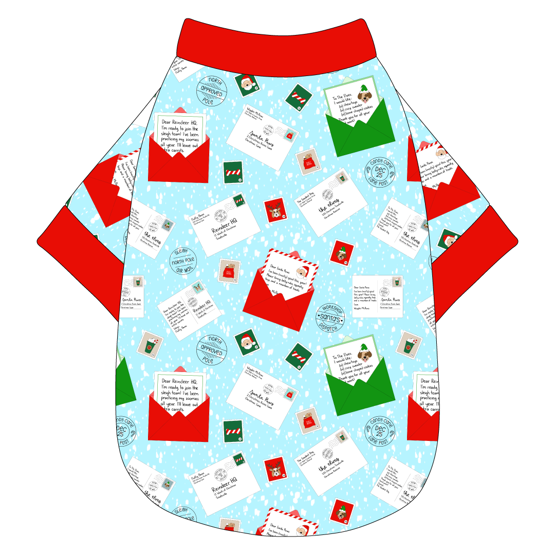 Letters To Santa Paws - The Basic Tee