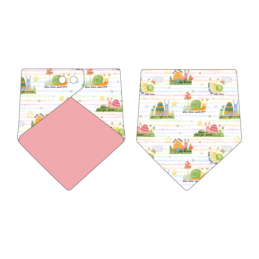 Little Things Take Time - The Bandana