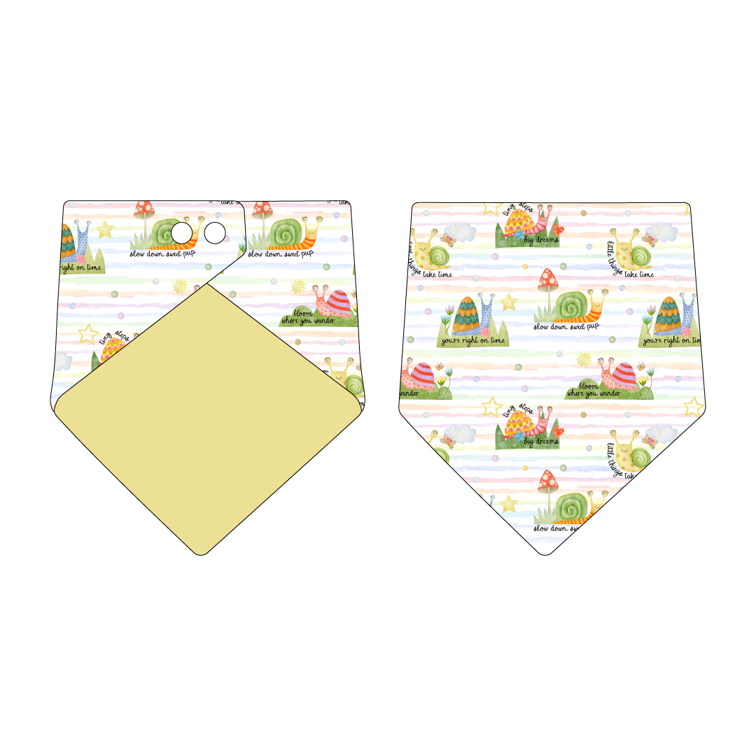 Little Things Take Time - The Bandana