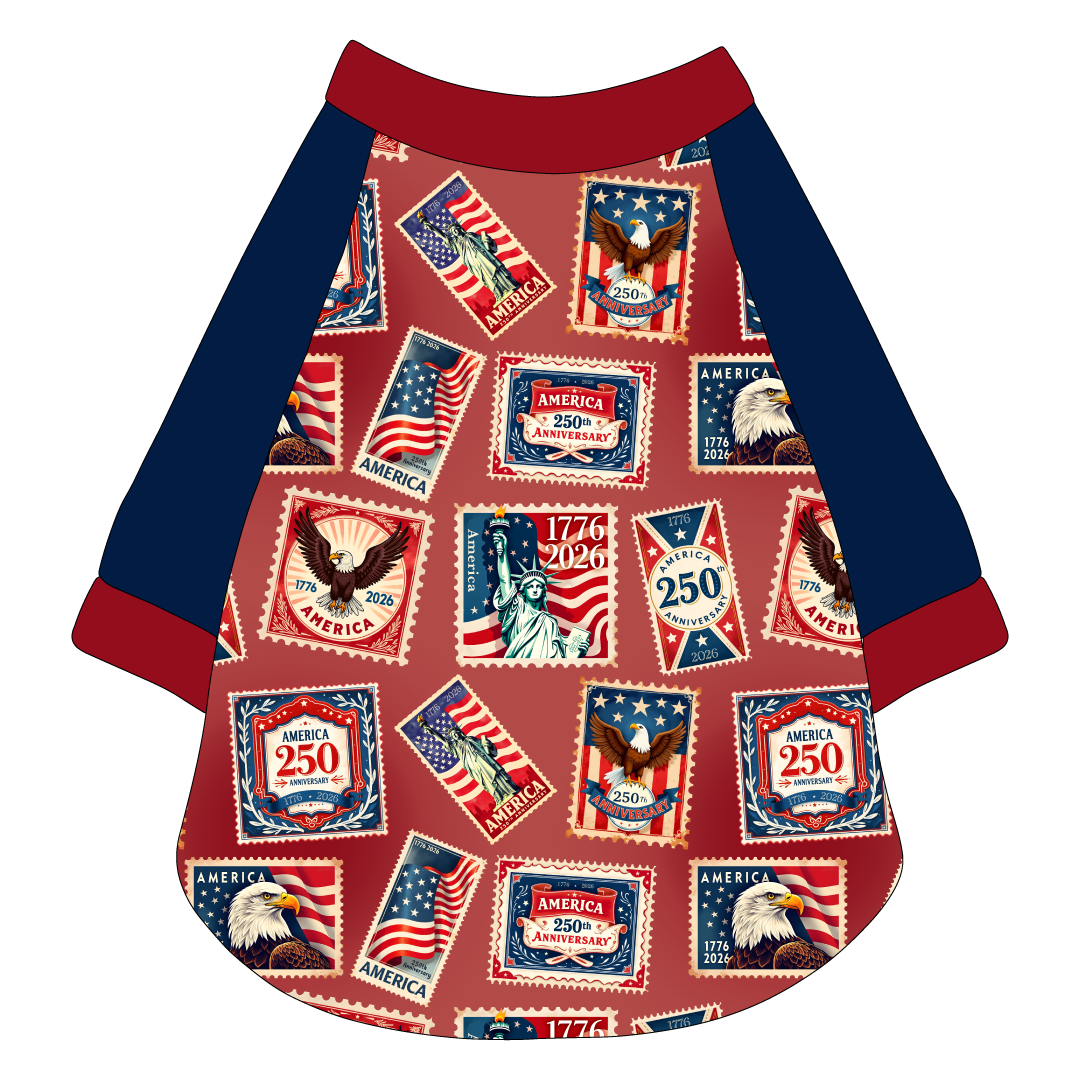 Postmarked 1776 - The Raglan Jersey