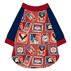 Postmarked 1776 - The Raglan Jersey