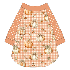 Pumpkin Picnic - The Raglan Jersey