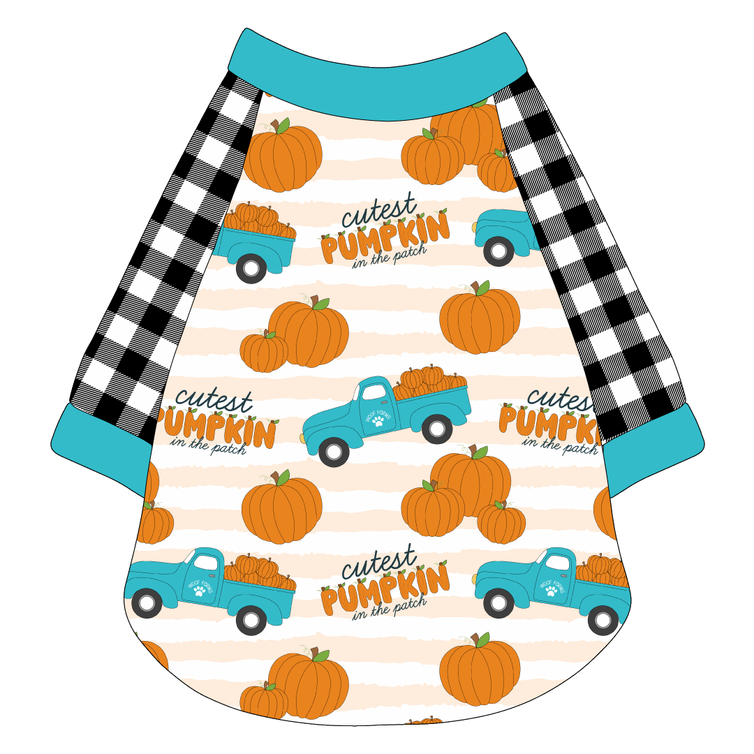 It's Fall Y'all - Cutest Pumpkin In The Patch - The Raglan Jersey